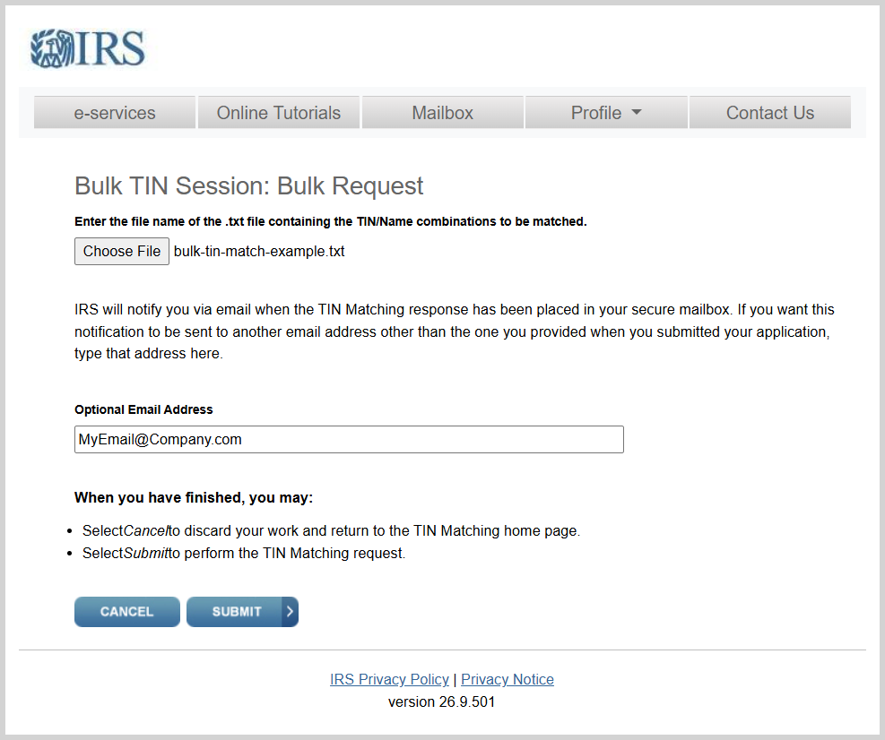 IRS Bulk TIN Session request page with the input file chosen and an optional notification email entered
